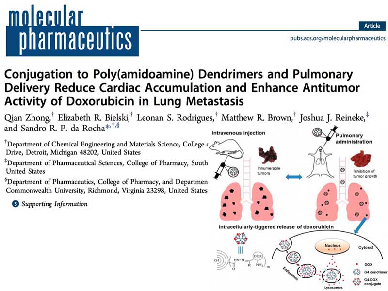 the article Conjugation to Poly(amidoamine) Dendrimers and Pulmonary Delivery Reduce Cardiac Accumulation and Enhance Antitumor Activity of Doxorubicin in Lung Metastasis as it appears in the print version of the journal molecular pharmaceutics