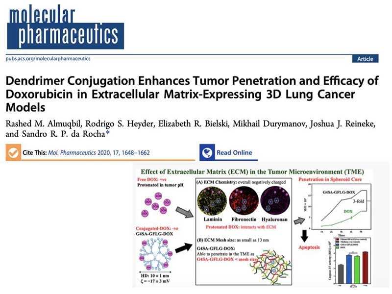 the article Dendrimer Conjugation Enhances Tumor Penetration and Efficacy of Doxorubicin in Extracellular Matrix-Expressing 3D Lung Cancer Models as it appears in the print version of the journal molecular pharmaceutics