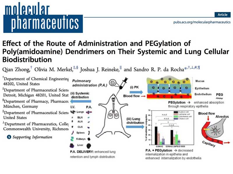 the article Effect of the Route of Administration and PEGylation of Poly(amidoamine) Dendrimers on Their Systemic and Lung Cellular Biodistribution as it appears in the print version of the journal molecular pharmaceutics