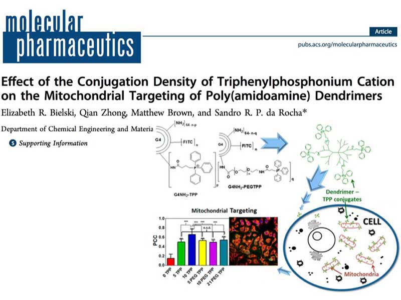 the article Effect of the Conjugation Density of Triphenylphosphonium Cation on the Mitochondrial Targeting of Poly(amidoamine) Dendrimers as it appears in the print version of the journal molecular pharmaceutics