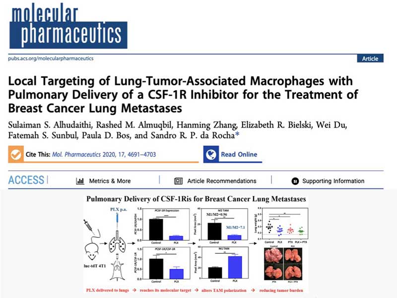 the article Local Targeting of Lung-Tumor-Associated Macrophages with Pulmonary Delivery of a CSF-1R Inhibitor for the Treatment of Breast Cancer Lung Metastases as it appears in the print version of the journal molecular pharmaceutics