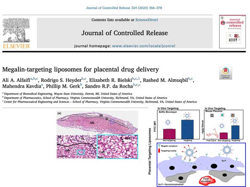 the article Megalin-targeting liposomes for placental drug delivery as it appears in the print version of the journal of controlled release