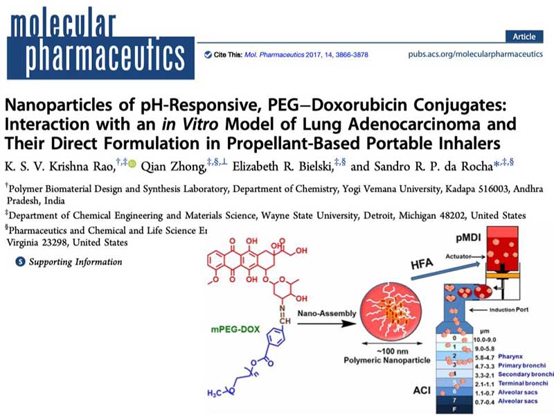 the article Nanoparticles of pH-Responsive, PEG–Doxorubicin Conjugates: Interaction with an in Vitro Model of Lung Adenocarcinoma and Their Direct Formulation in Propellant-Based Portable Inhalers as it appears in the print version of the journal molecular pharmaceutics