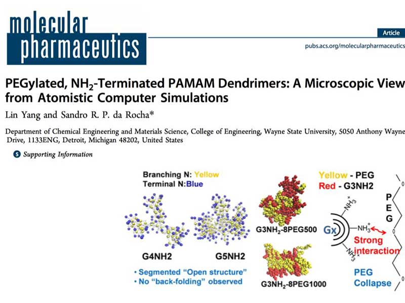 the article PEGylated, NH2-Terminated PAMAM Dendrimers: A Microscopic View from Atomistic Computer Simulations as it appears in the print version of the journal molecular pharmaceutics