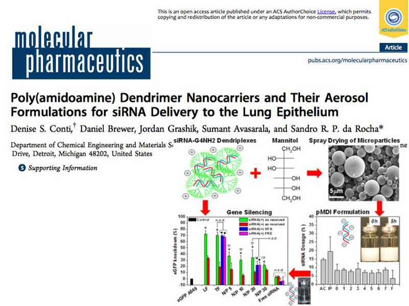 the article Poly(amidoamine) Dendrimer Nanocarriers and Their Aerosol Formulations for siRNA Delivery to the Lung Epithelium as it appears in the journal molecular pharmaceutics