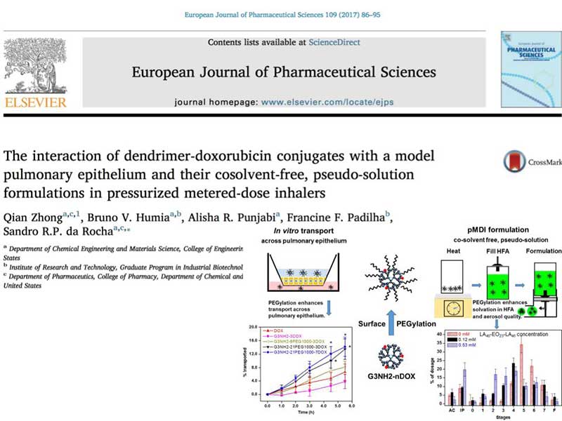 the article The interaction of dendrimer-doxorubicin conjugates with a model pulmonary epithelium and their cosolvent-free, pseudo-solution formulations in pressurized metered-dose inhalers as it appears in the print version of the european journal of pharmaceutical science